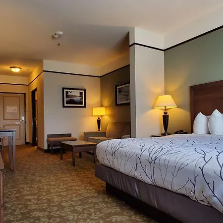 Best Western Plus Emory at Lake Fork Inn&Suites Exterior foto