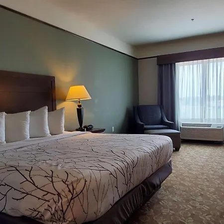 Best Western Plus Emory at Lake Fork Inn&Suites Exterior foto